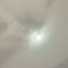 مصطفى عصام