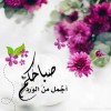 صورة حساب Ahmed Ahmed