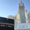 محمد الحربي