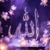 KHADIGA AHMED
