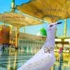 Mohamed Klied