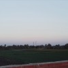 يوسف ربيع
