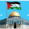 همت مصطفى