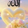 صورة حساب Mohamedfarag0