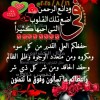 صورة حساب Ahmed Kandeel