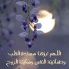Amira Mohamed