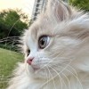 صورة حساب Malak Mansour