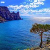 The Sea