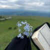 صورة حساب سَحَاب النُور☁️