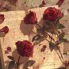 Rawan Ahmed