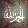 صورة حساب Mohmed Ez