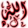 وليد دسوقي 