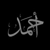 احمد الوكيل