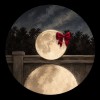 صورة حساب Loly