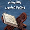 مؤمن فهمي