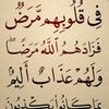 حماده الشيمي
