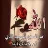 Asmaa Tolba