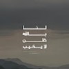 Amro ELshawaf