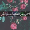 Sahar Mesfar