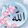ممدوح مسعود