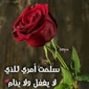 assma hassan