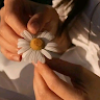 Nour Mahmoud