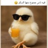 عمر اكرم