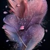 صورة حساب yaqeen