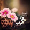 المصطفي