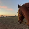صهيب البرقاوي