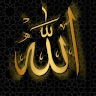 mhammed esved الصورة الشخصية