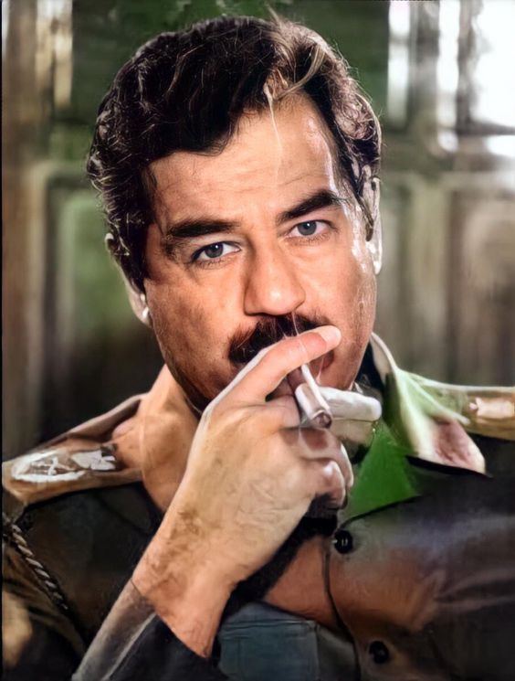 MOHAMED SHERIF الصورة الشخصية