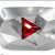 انفورمه 305