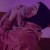 Nour Alhouda 